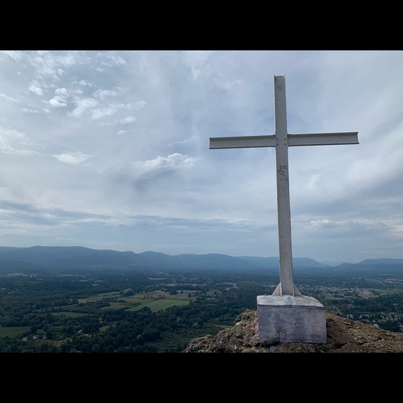 Meet your Posher, Quinn - Picture 1 of 1